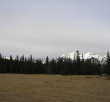 Panorama from a clearing in the woods 4