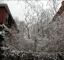 March 1, 2005 MAJOR SNOWFALL