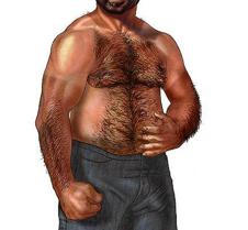 musclebear art drawing