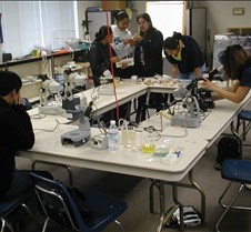 007_setting_up_the_microscope