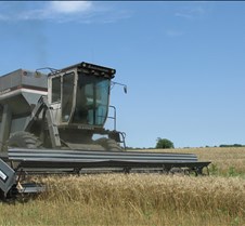 June 15, 2005 Cutting Wheat On Kastle Place Ken Judge leased the wheat ground and called in help for harvest. This is Wall's from south of Perkins cutting out the big field...