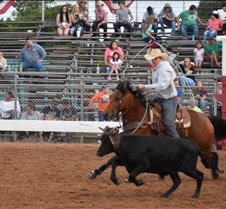 DSC_0364 (2)