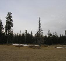 Panorama from a clearing in the woods 5