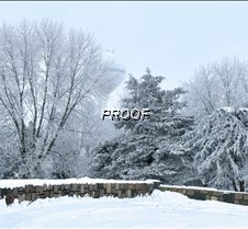 Frost_BevSalonen copy
