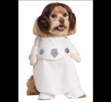 Rubie's Princess Leia Star WarsCostume