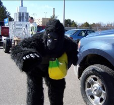 trivia parade 189 (42)