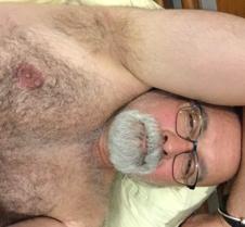 very hairy silverbear