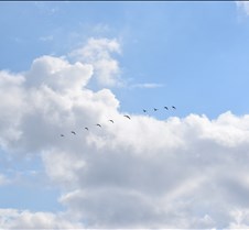 DSC_1823