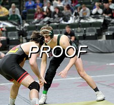 IMG_3537