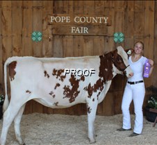 Champion Dairy Sr. Yearling, Laureen Wal