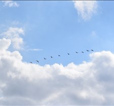 DSC_1822