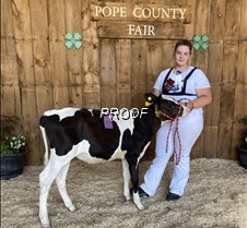 Reserve Champion Dairy Spring Calf, TERE