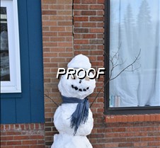 Snowman in Cyrus