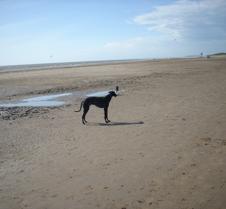 picture_091