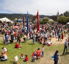 15584.5.6 panoramic