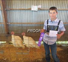 Champion Market Turkeys, Levi Walter