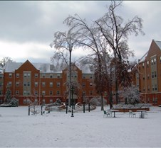 Ice Storm