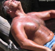 california gay musclebears