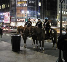 NYC used more mounted police