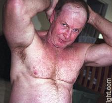 60 hairychest silver daddie bear