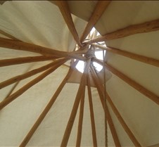 IMG_1781