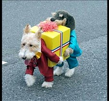 Dogs carrying present