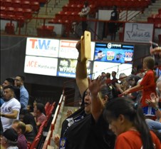DSC_0071 (2)