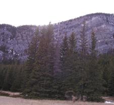 Panorama from a clearing in the woods 1