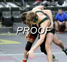 IMG_3545
