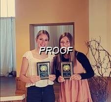 MVP and Laker pride award (new)