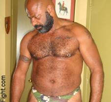 bearded black bear cub