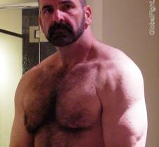 huge beefy daddy pecs massive hairychest