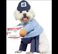 USPS Mail Carrier Dog Costume