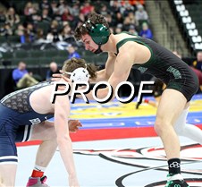 IMG_3446