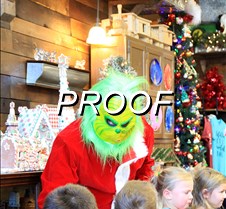 IMG_0538