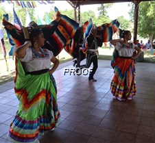 IMG_0871
