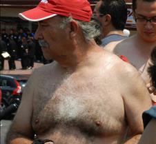 silver gray hairy chest