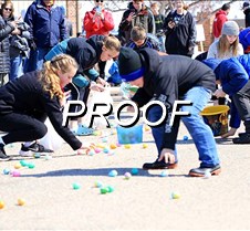 IMG_1272