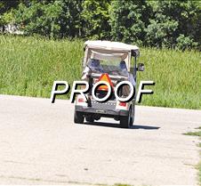 Golf cart-starbuck