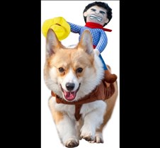 NACOCO Cowboy Rider Dog Costume