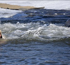 _DSC0961