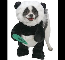 Pandaloon Panda Puppy Dog Pet Costume