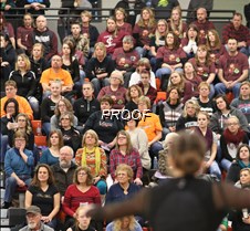 IMG_3896