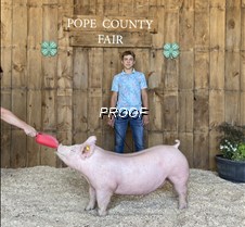 Champion Market Barrow, Jayce Kovarik