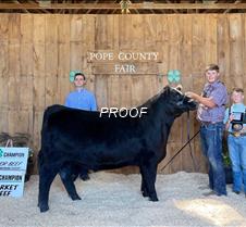 Champion Market Beef, Champion Senior Be