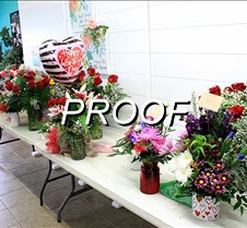 IMG_0950