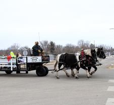 IMG_0460