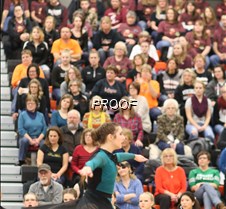 IMG_3874