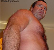 hairy bears photos gallery