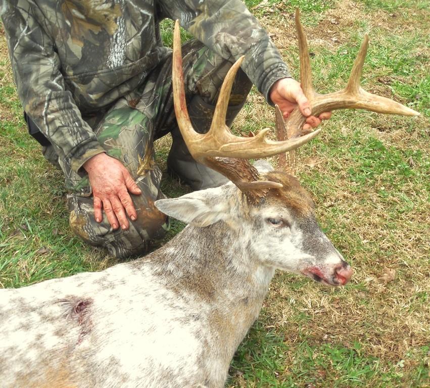 dotPhoto Album lblhunts 2013 Land Between The Lakes Quota Hunt Photos